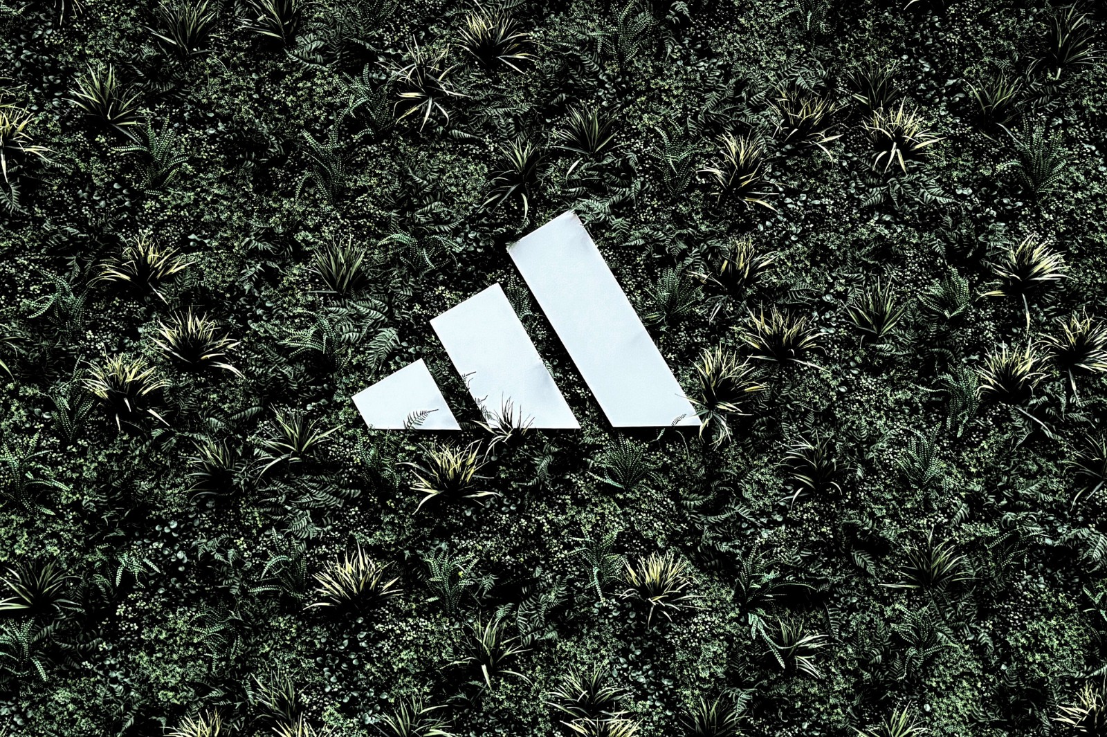 adidas logo grass