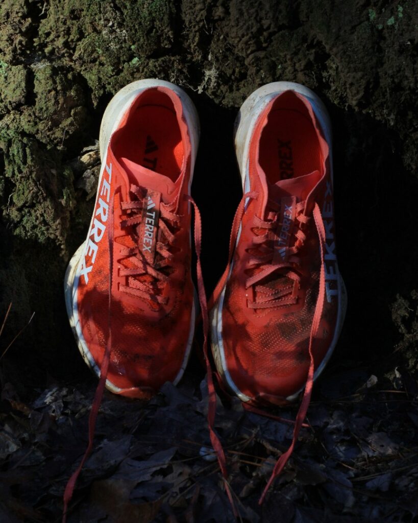 Adidas Terrex Agravic Speed Ultra - against moss stump