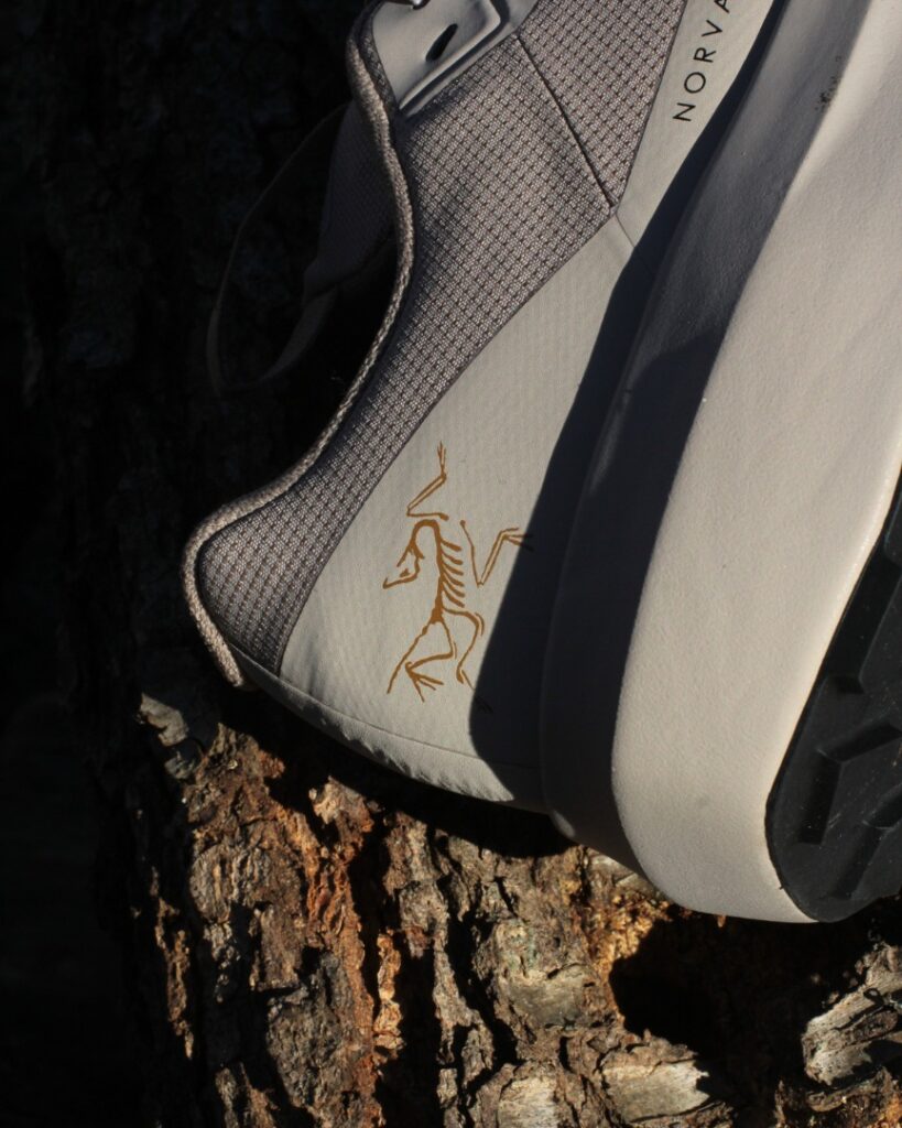 arcteryx norvan ld 4 gtx (4)