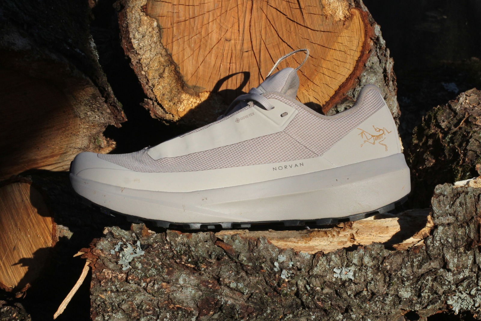arcteryx norvan ld 4 gtx - feature 2
