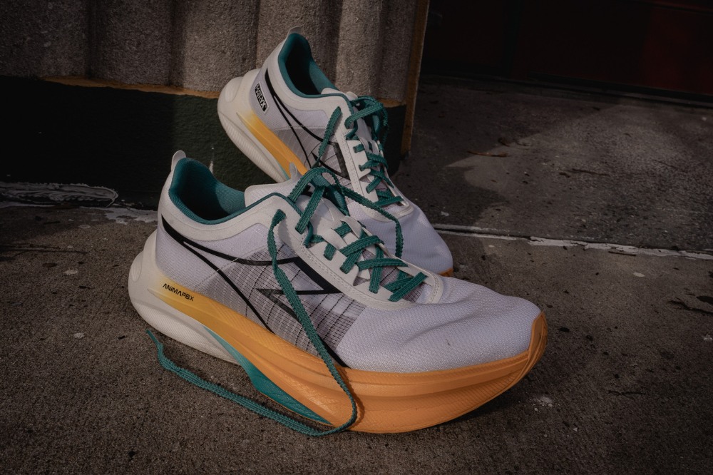 diadora gara carbon - both shoes