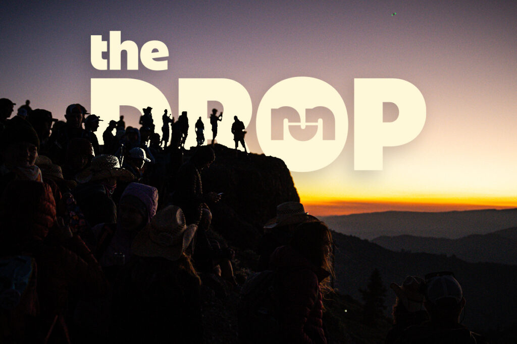 the drop e273