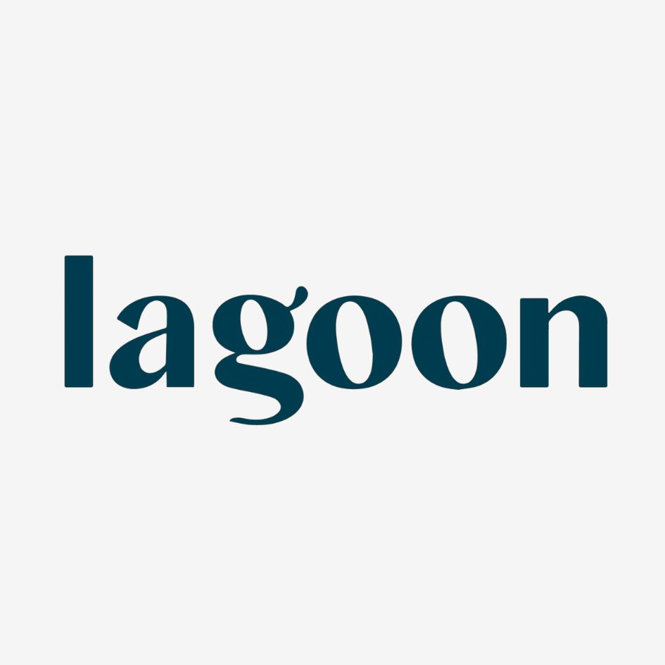 lagoon pillows logo - gray background