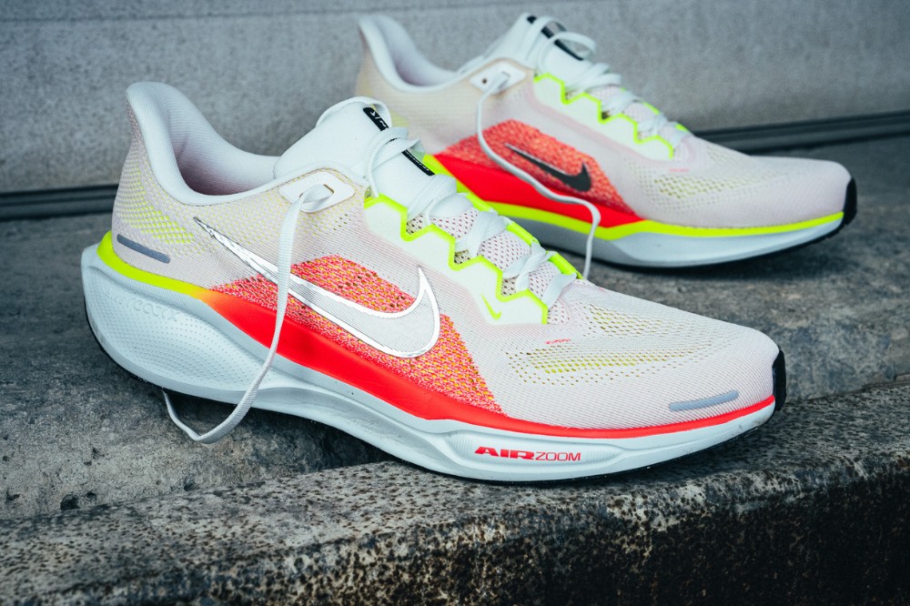 nike pegasus 41 - two shoes