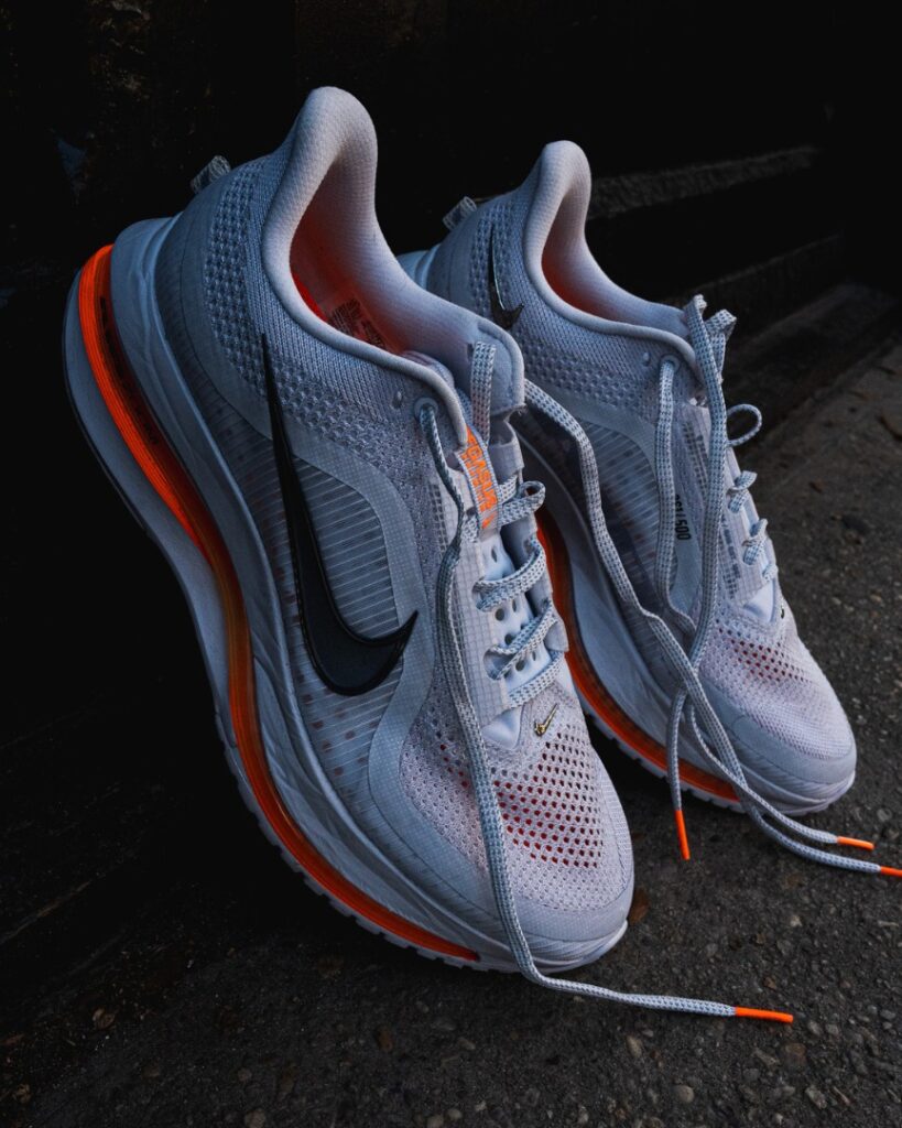 nike pegasus premium - both shoes