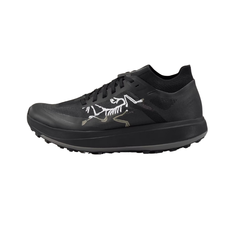 arcteryx sylan pro - men shop