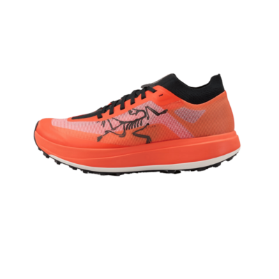 arcteryx sylan pro shoe shop