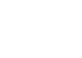 Strava Icon