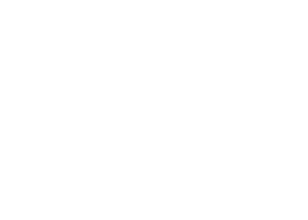 Twitter Icon